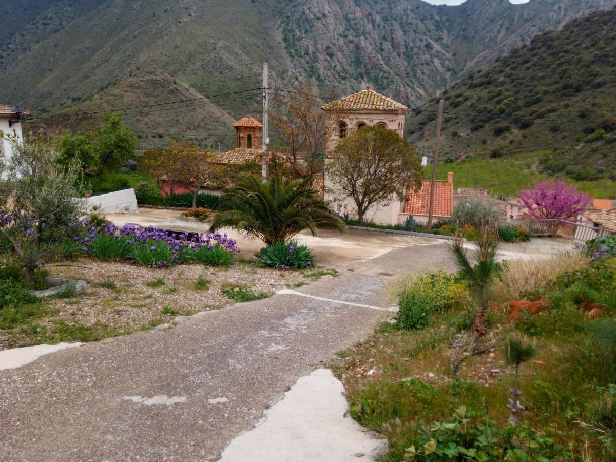 منزل الضيف Embid de la Ribera  في El Retiro De Isabel المظهر الخارجي الصورة